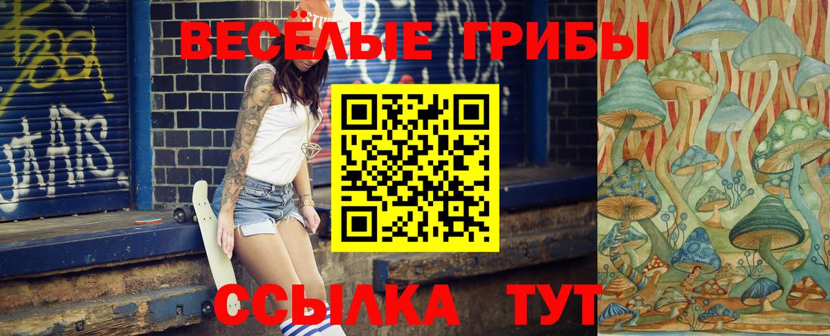 Псилоцибиновые грибы прущие грибы Санкт-Петербург